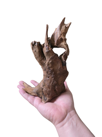 Ironwood Stump Burls