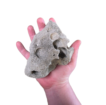 Peruvian pumice rock for drainage and hardscape.