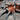 Theraphosinae sp. Mandarin, Orange Blush tarantula.