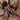 Pamphobeteus insignis (Colombian Purple Bloom Tarantula) (True Insignis) 1-1.5"