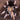 Aphonopelma chalcodes, Arizona Blonde tarantula, Flagstaff Orange locality.